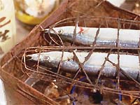 �T���}�̖�