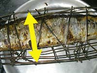 �����c������