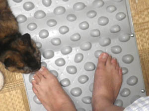 �����@�G�E�H�[�N�}�b�g