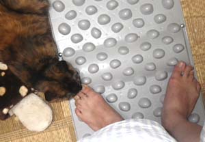 �����@�G�E�H�[�N�}�b�g