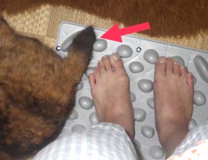 �����@�G�E�H�[�N�}�b�g