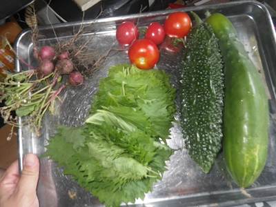 �����@�G�E�H�[�N�}�b�g