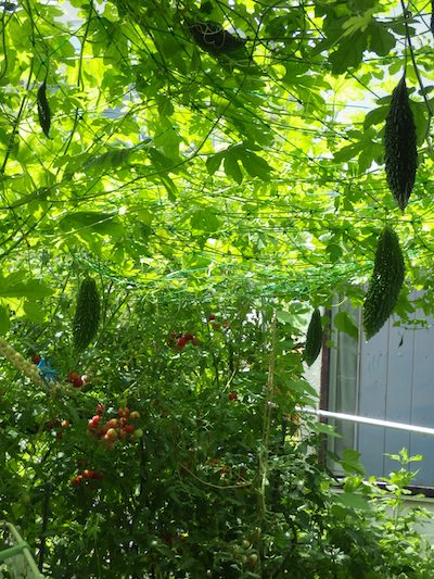 �����@�G�E�H�[�N�}�b�g