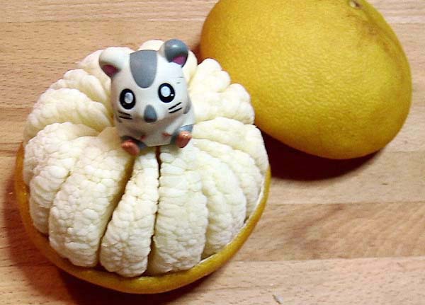 ���炵���U