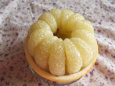 16�Ԓ�q�@����ډƂ����i