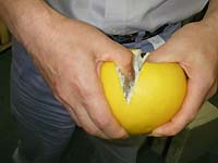 ���U�̋����������`�N���C�}�[�̏ꍇ