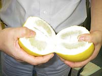 ���U�̋����������`�N���C�}�[�̏ꍇ