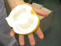 ���U�̋����������`�N���C�}�[�̏ꍇ