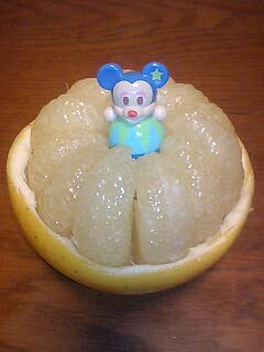 19�Ԓ�q�@�������܍�i