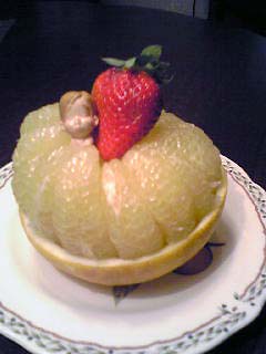 20�Ԓ�q�@�f�f���܍�i