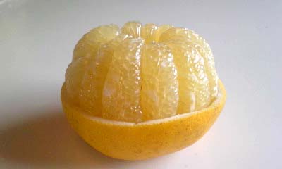 21�Ԓ�q�@??���܍�i