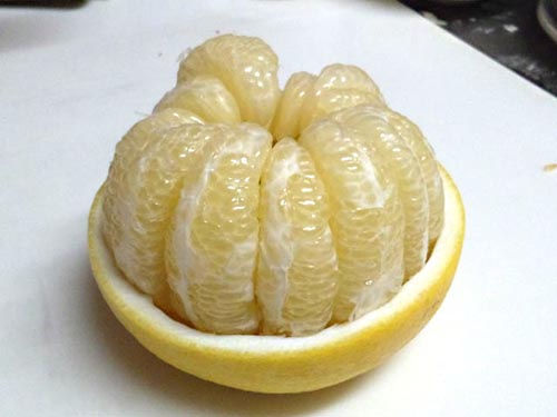 23�Ԓ�q�@??���܍�i