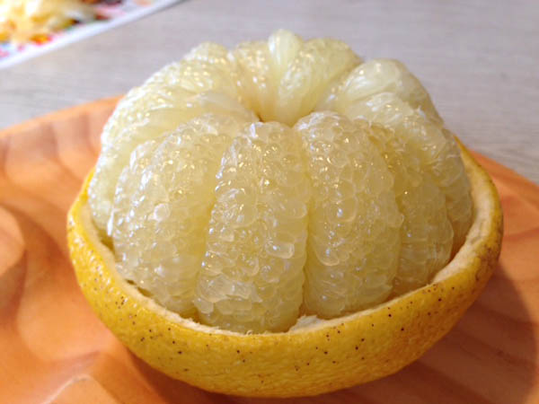 24�Ԓ�q�@chihirot�����i