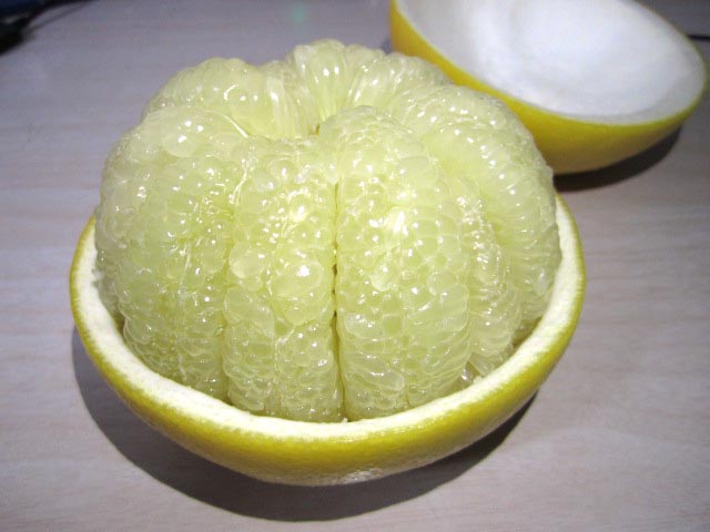 25�Ԓ�q�@??���܍�i