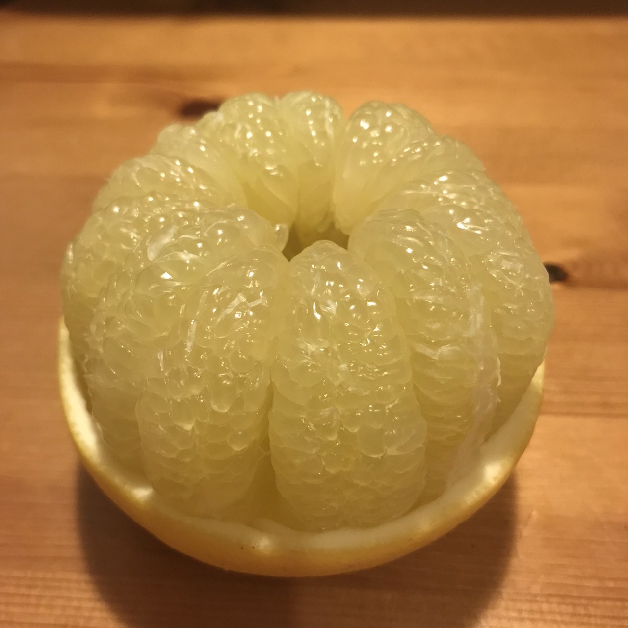 21�Ԓ�q�@??���܍�i