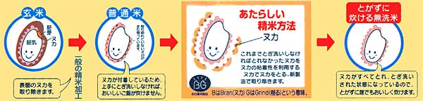 �ؓ��_�Ɗ�����Ё@�����ā@�Ȗ؃R�V�q�J��