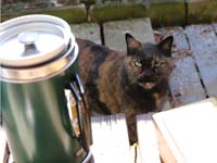 ��ؐ��쏊�A���|�b�g