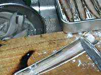 ���q�̒ώ�