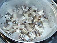 ���q�̒ώ�