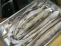 ���q�̒ώ�