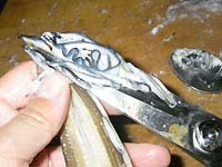 ���q�̉�����