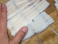 ���q���V�s�@���q�̋��h�����@