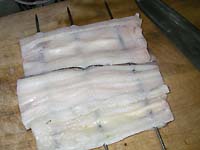 ���q���V�s�@���q�̋��h�����@