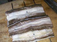 ���q���V�s�@���q�̋��h�����@