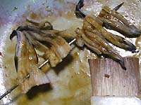 ���q���V�s�@���q�̋��h�����@