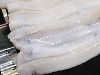 ���q���V�s�@���q�̊��Ă��i���Ă��j