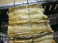 ���q���V�s�@���q�̊��Ă��i���Ă��j