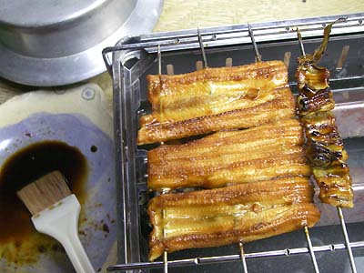 ���q���V�s�@���q�̊��Ă��i���Ă��j