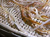 ���q���V�s�@���q�̍��Ɠ��̗��p