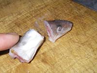 ���q���V�s�@���q�̍��Ɠ��̗��p