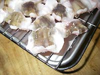 ���q���V�s�@���q�̍��Ɠ��̗��p