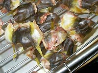 ���q���V�s�@���q�̍��Ɠ��̗��p