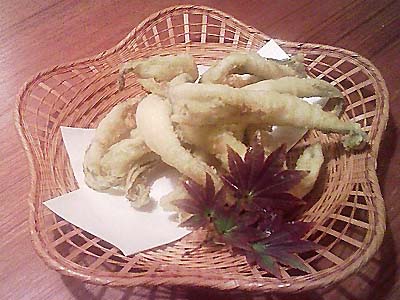 ���q���V�s