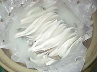 ���q���V�s