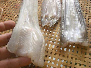 ���q���V�s