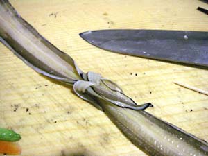 ���q���V�s�@���q�̔�������