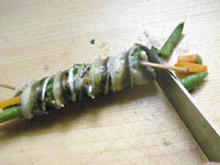 ���q���V�s�@���q�̔�������