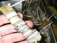 ���q���V�s�@���q�̔�������