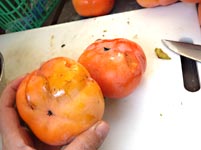 �Ê`�ō�銱���`�i�h���C�t���[�c�j