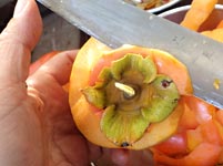 �Ê`�ō�銱���`�i�h���C�t���[�c�j