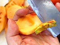 �Ê`�ō�銱���`�i�h���C�t���[�c�j