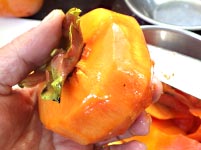 �Ê`�ō�銱���`�i�h���C�t���[�c�j