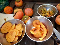 �Ê`�ō�銱���`�i�h���C�t���[�c�j