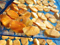 �Ê`�ō�銱���`�i�h���C�t���[�c�j