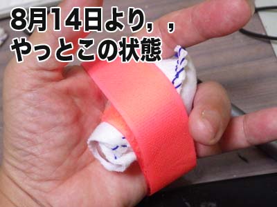 �h���܃J�o�[�ăo�[�W�����h