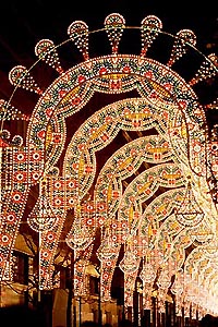 �����w�~���i���I